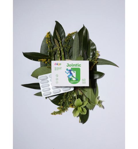 Daigo Jointic / Дайго Джойнтик с натуральным пептидом хлореллы, 60 капсул Daigo Jointic / Дайго Джойнтик с натуральным пептидом хлореллы, 60 капсул