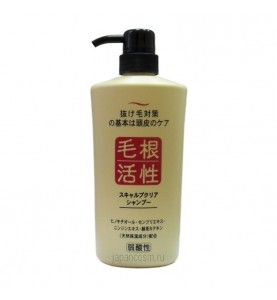 Junlove Scalp Clear Shampoo / Шампунь для укрепления и роста волос, 550 мл